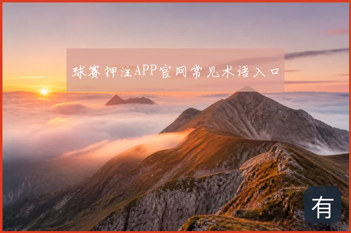 球赛押注APP官网常见术语入口
