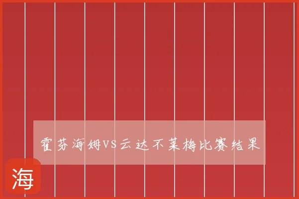 霍芬海姆vs云达不莱梅比赛结果