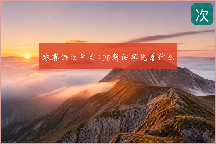 球赛押注平台app新访客先看什么
