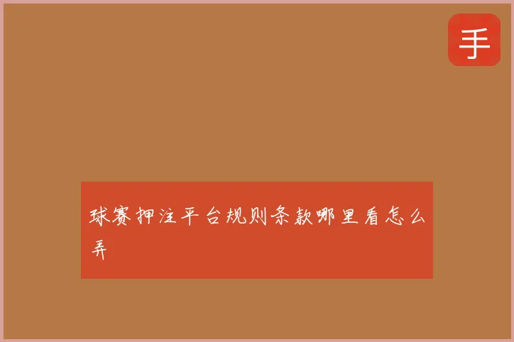 球赛押注平台规则条款哪里看怎么弄